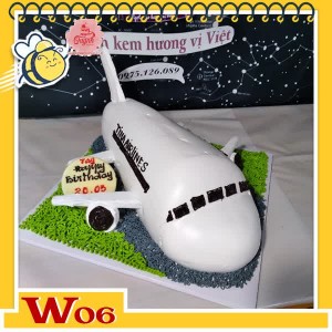 Bánh kem máy bay W06 màu trắng cửa sổ đen đang ở trên đường băng xám cỏ xanh